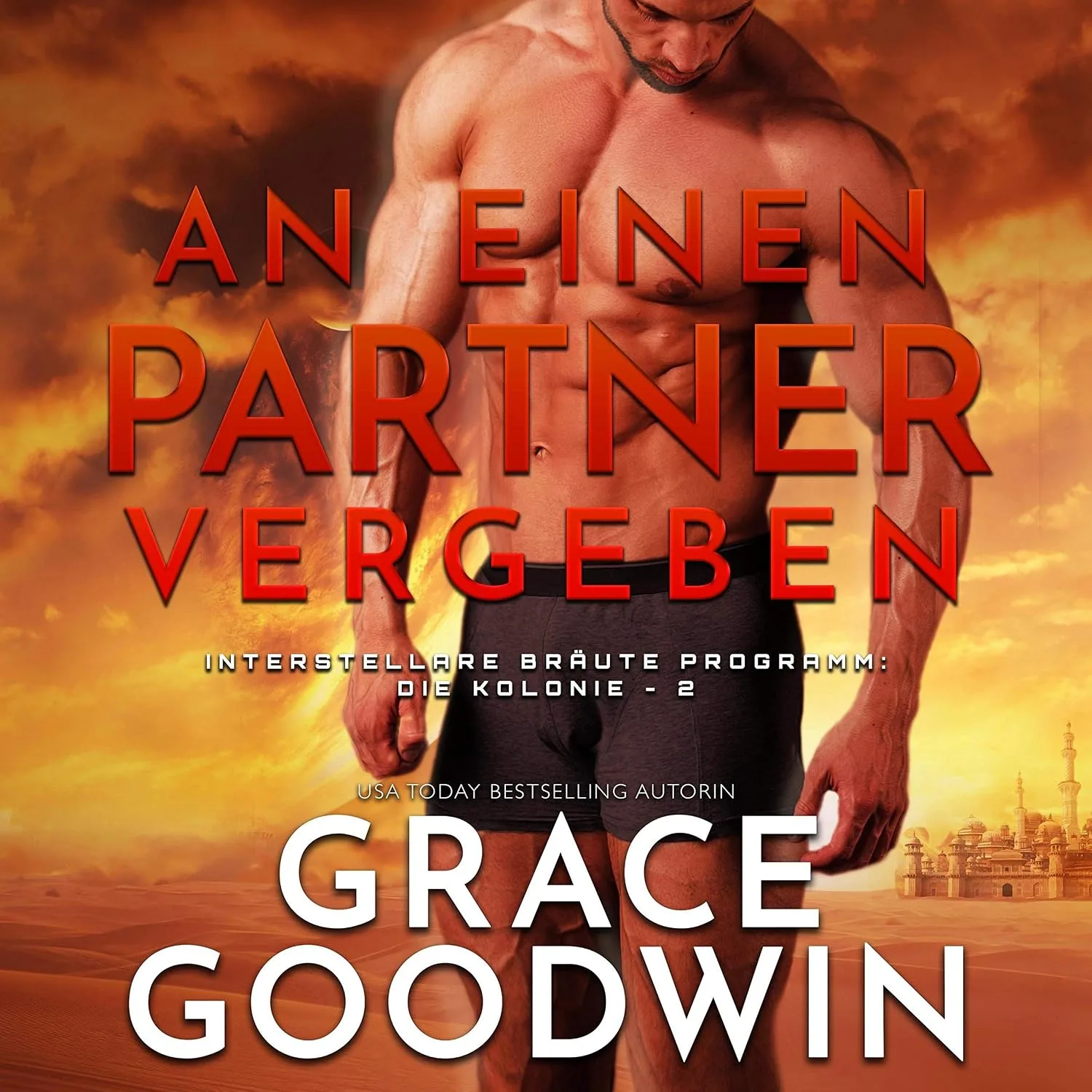Portada de An einen Partner vergeben [Awarded to a Partner]