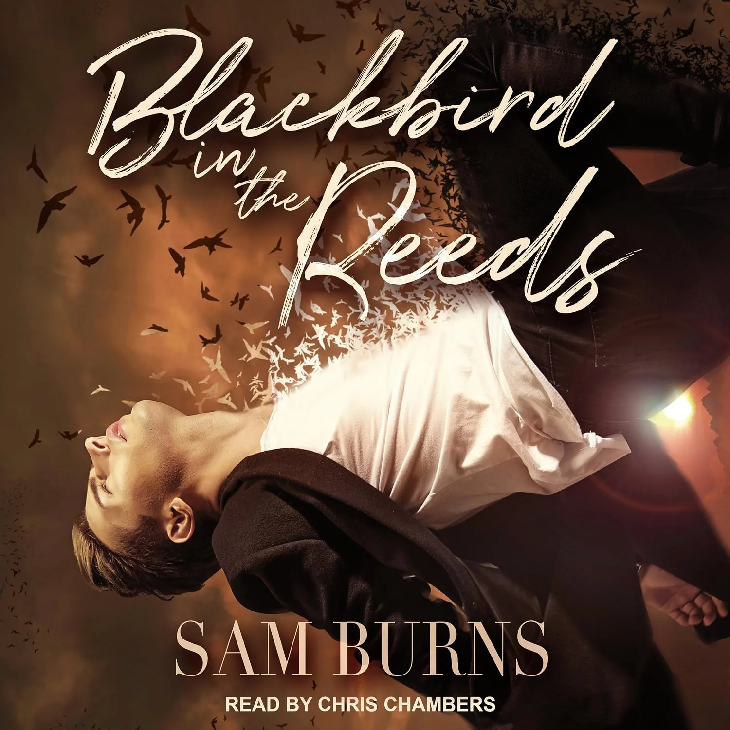 Portada de Blackbird in the Reeds