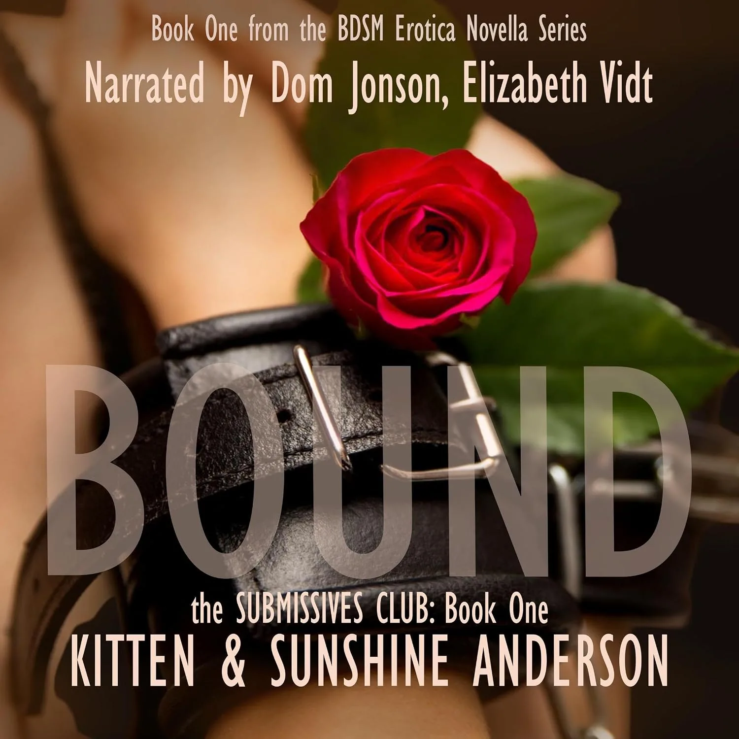 Portada de Bound