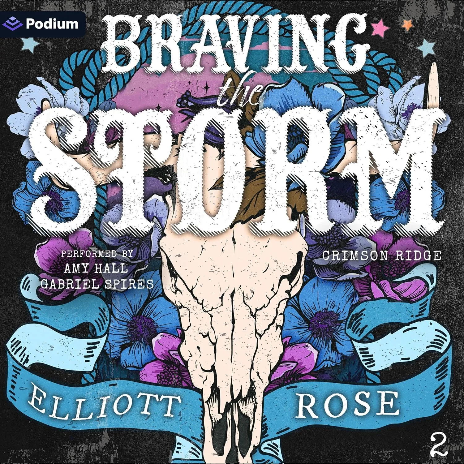 Portada de Braving the Storm