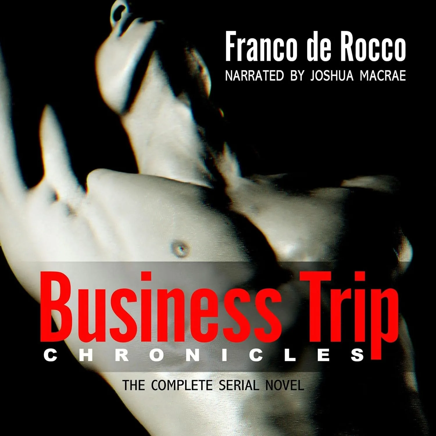 Portada de Business Trip Chronicles: The Complete Serial Novel