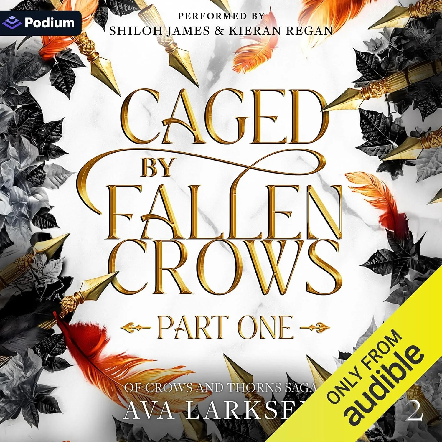 Portada de Caged by Fallen Crows
