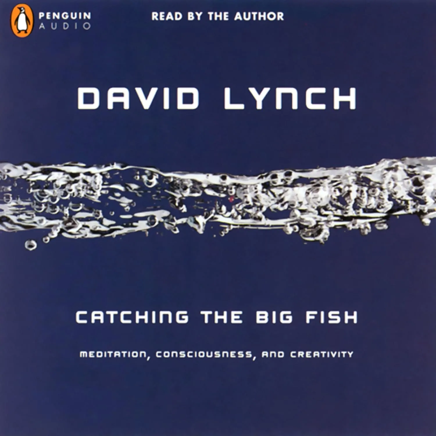 Portada de Catching the Big Fish: Meditation, Consciousness, and Creativity