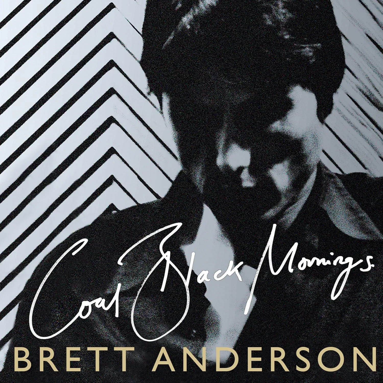 Portada de Coal Black Mornings