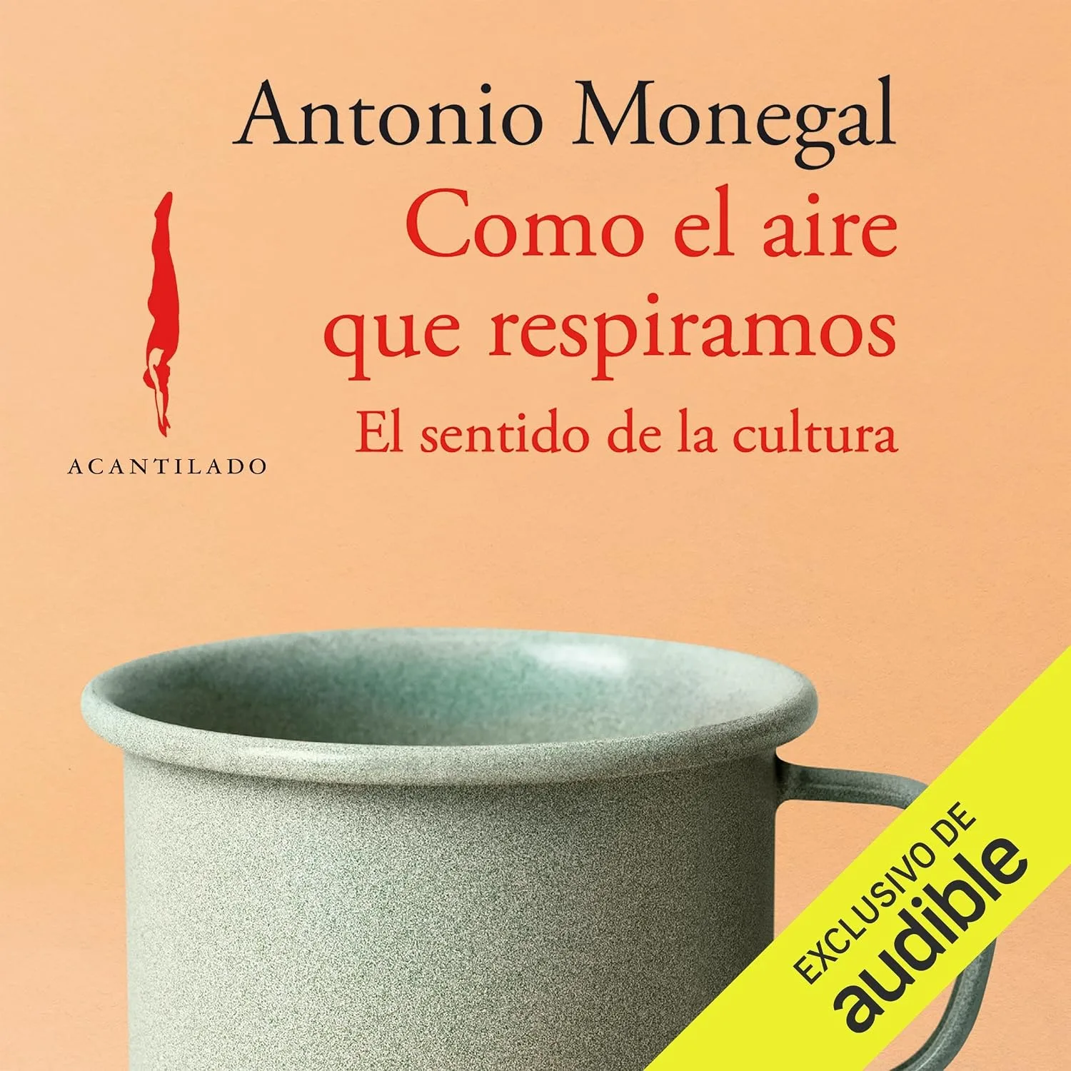 Portada de Como el aire que respiramos