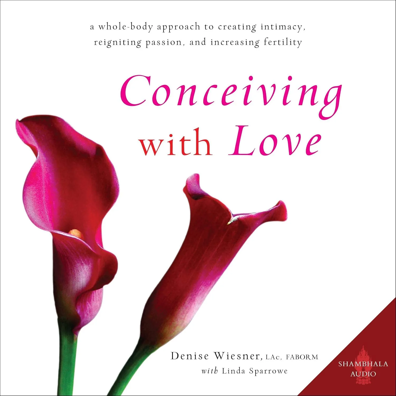 Portada de Conceiving with Love: A Whole-Body Approach to Creating Intimacy, Reigniting Passion, and Increasing Fertility