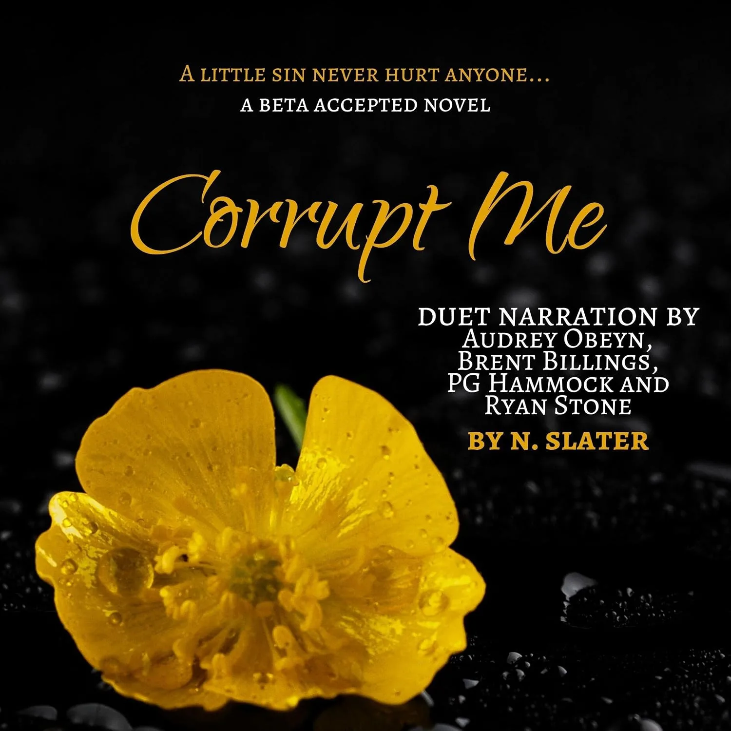 Portada de Corrupt Me: An MMMF Betaverse Novel (Beta Accepted)