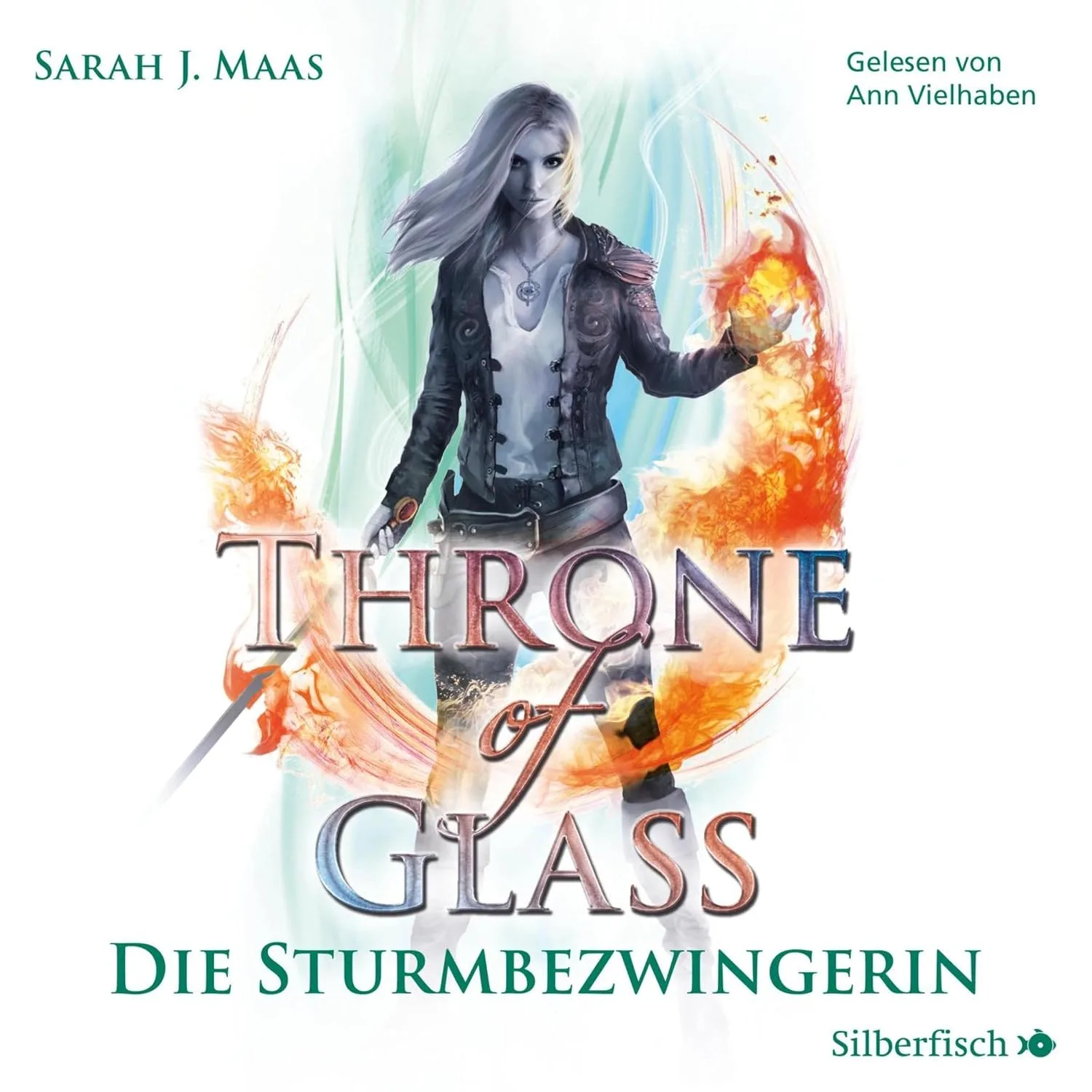 Portada de Die Sturmbezwingerin