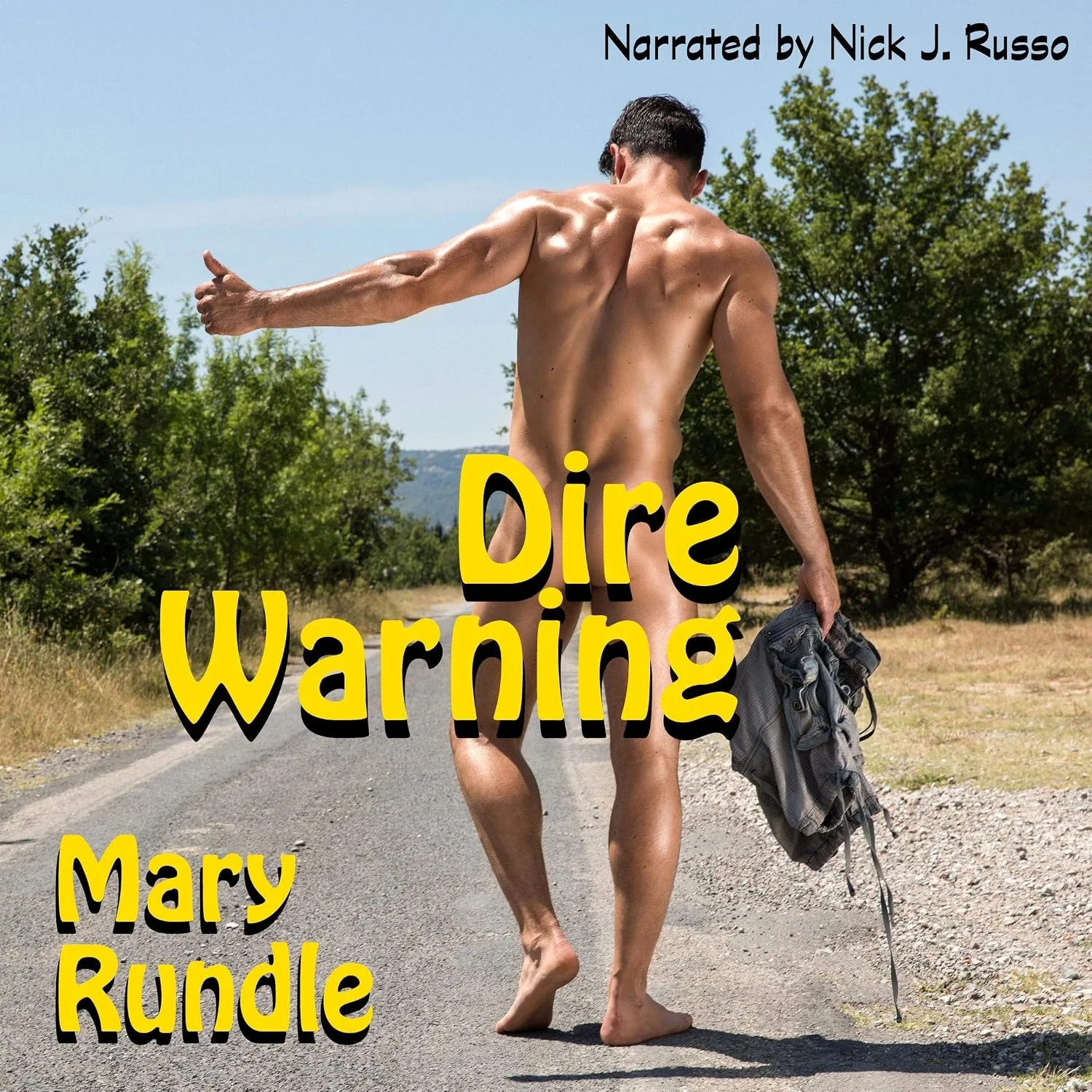 Portada de Dire Warning
