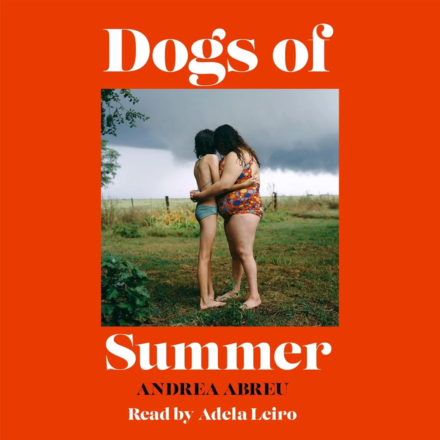Portada de Dogs of Summer: A sultry, simmering story of girlhood and an international sensation