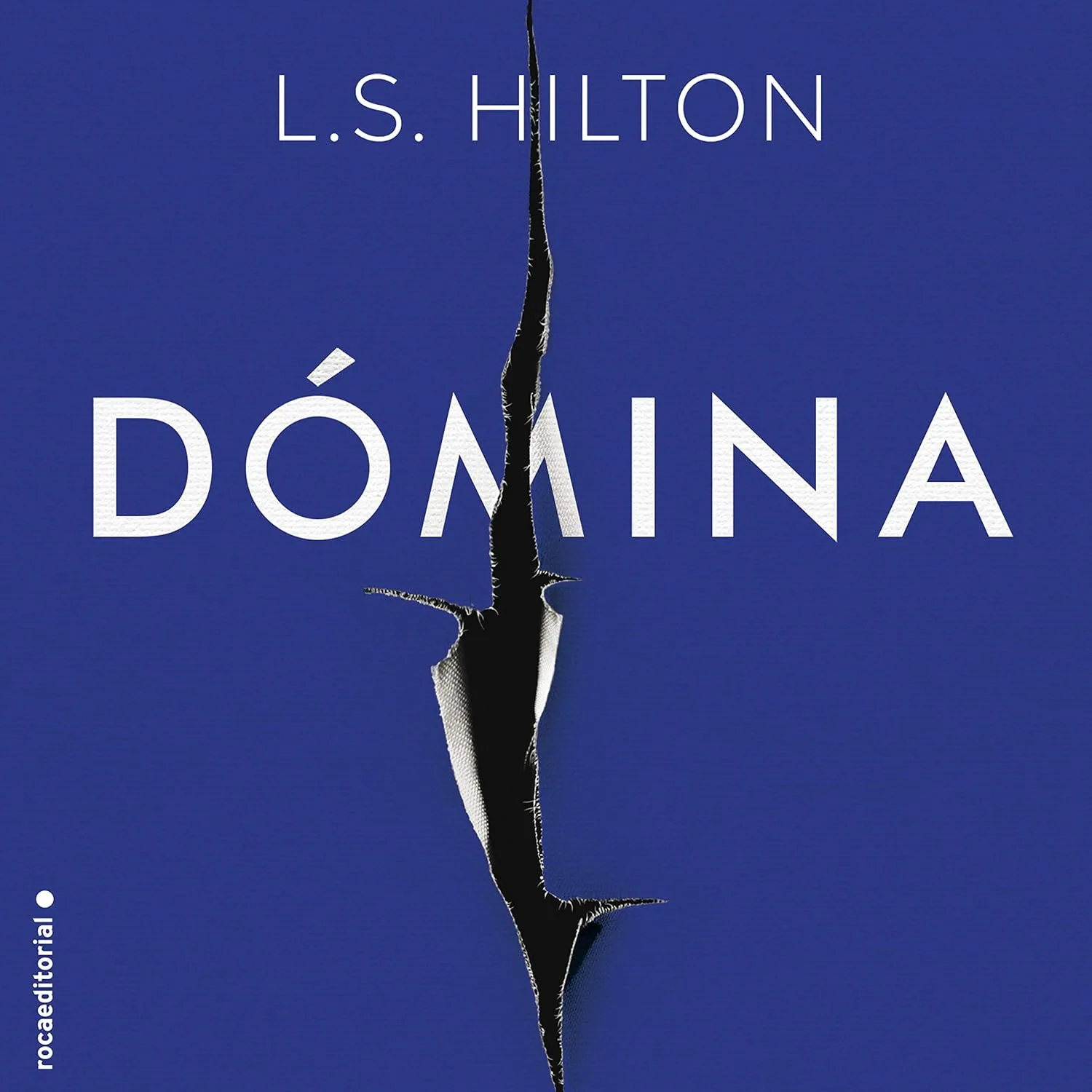 Portada de Dómina (Spanish Edition)
