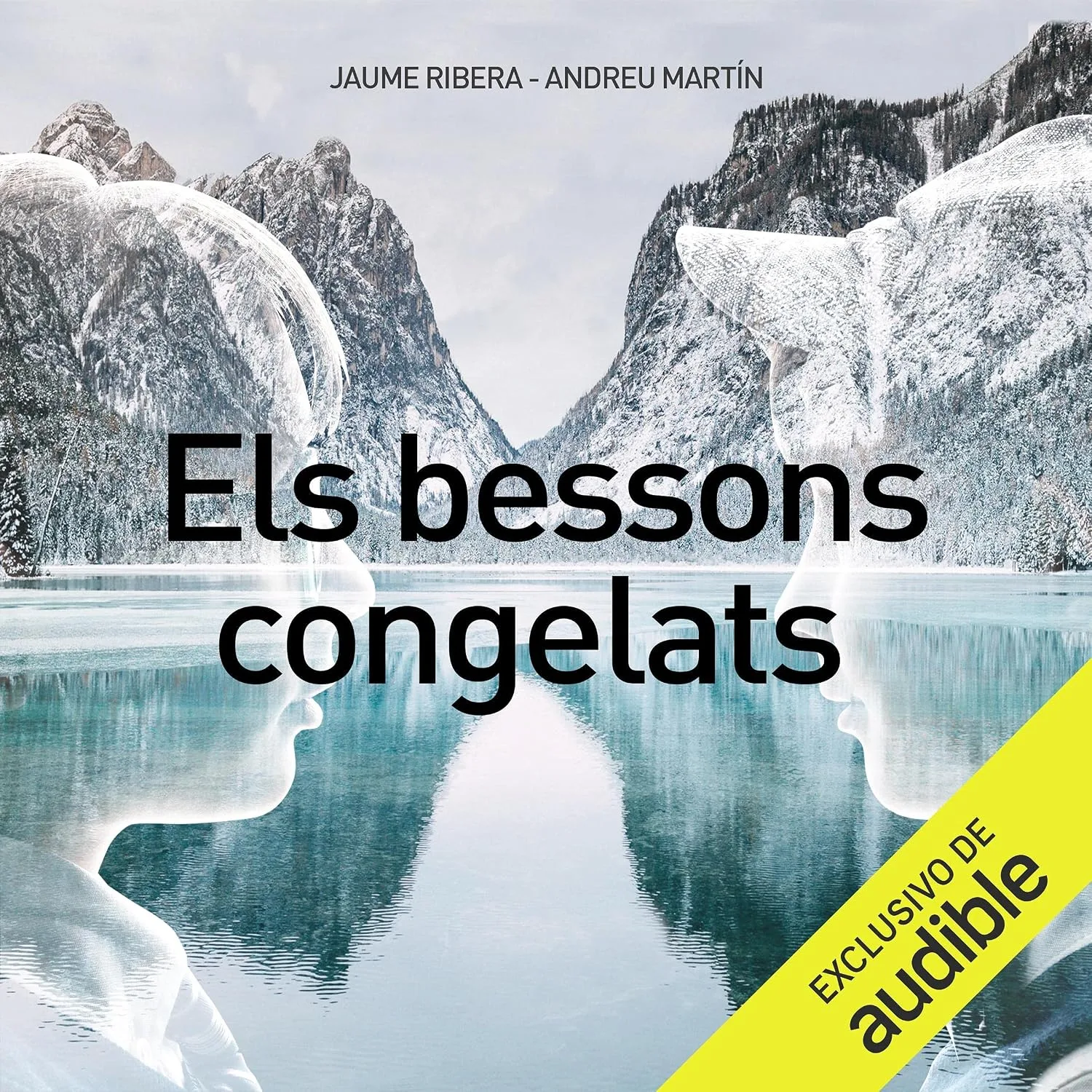 Portada de Els bessons congelats