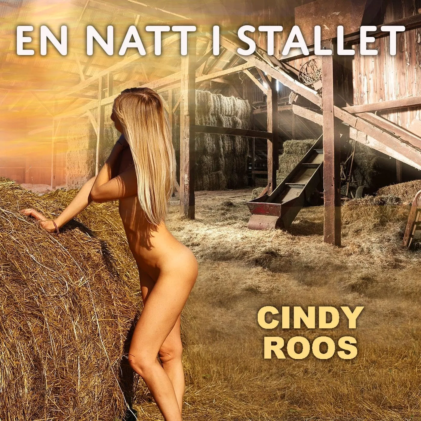 Portada de En natt i stallet
