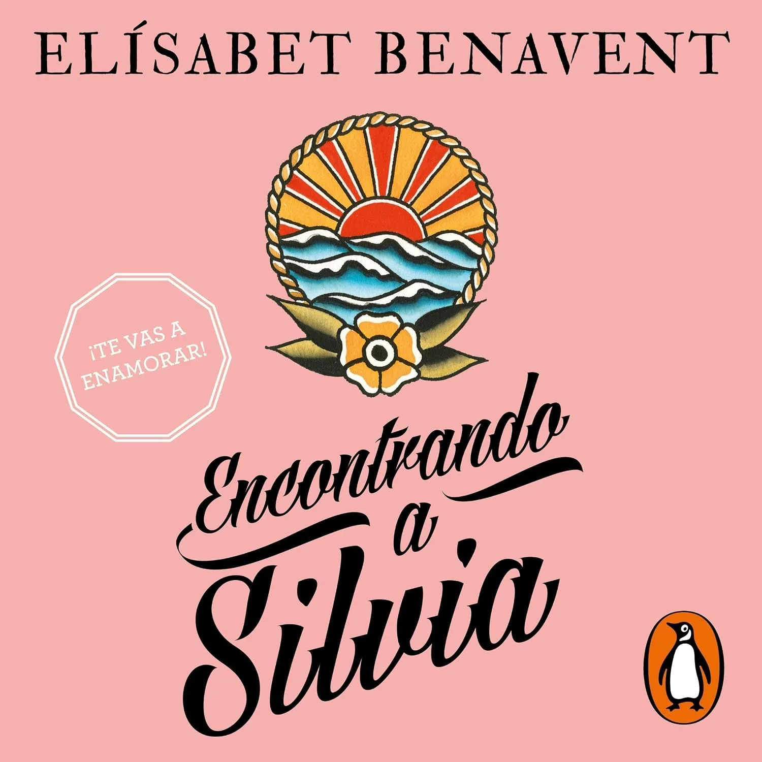 Portada de Encontrando a Silvia