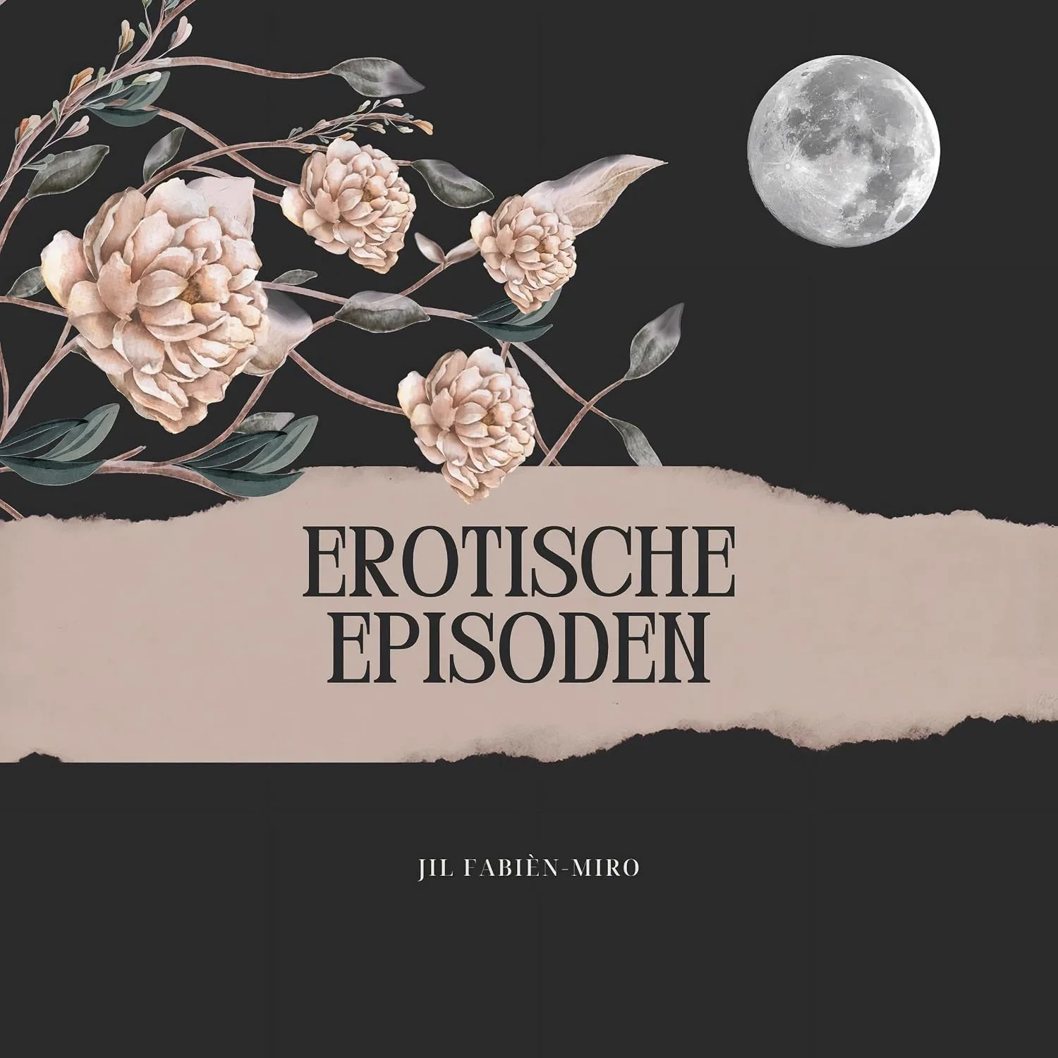 Portada de Erotische Episoden. Visualisierung & Vorstellung prickelnder, erotischer Momente