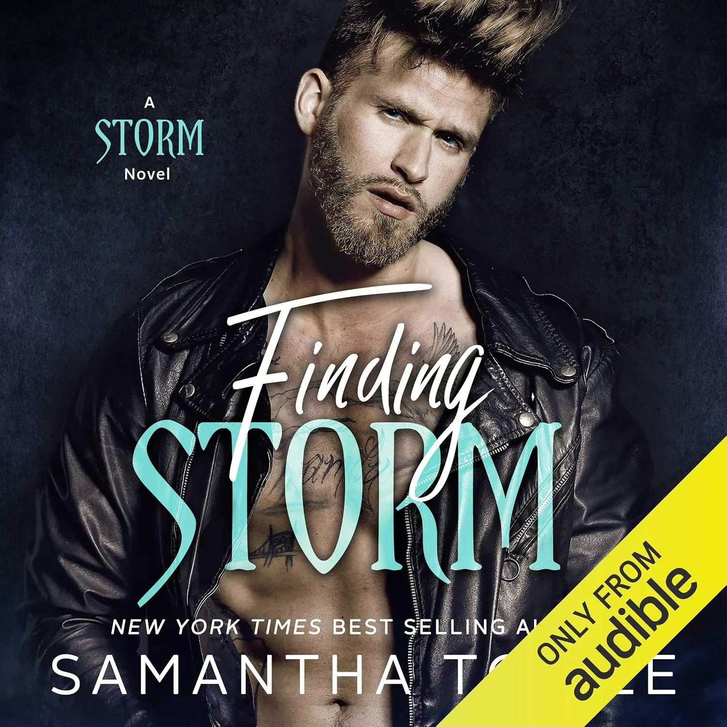 Portada de Finding Storm