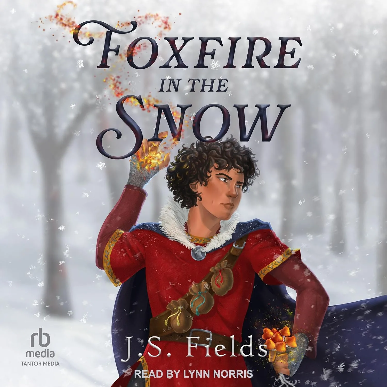 Portada de Foxfire in the Snow