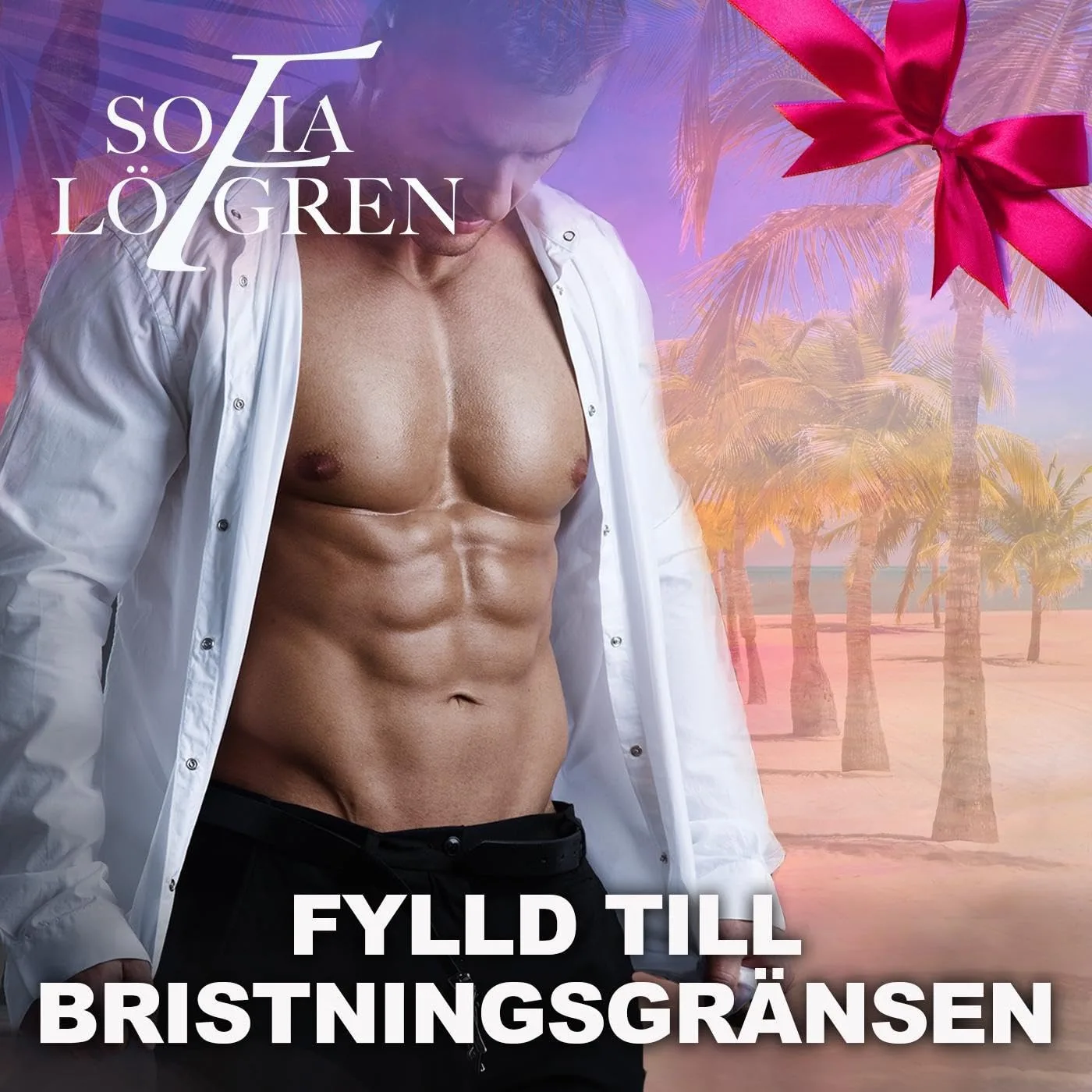 Portada de Fylld till bristningsgränsen