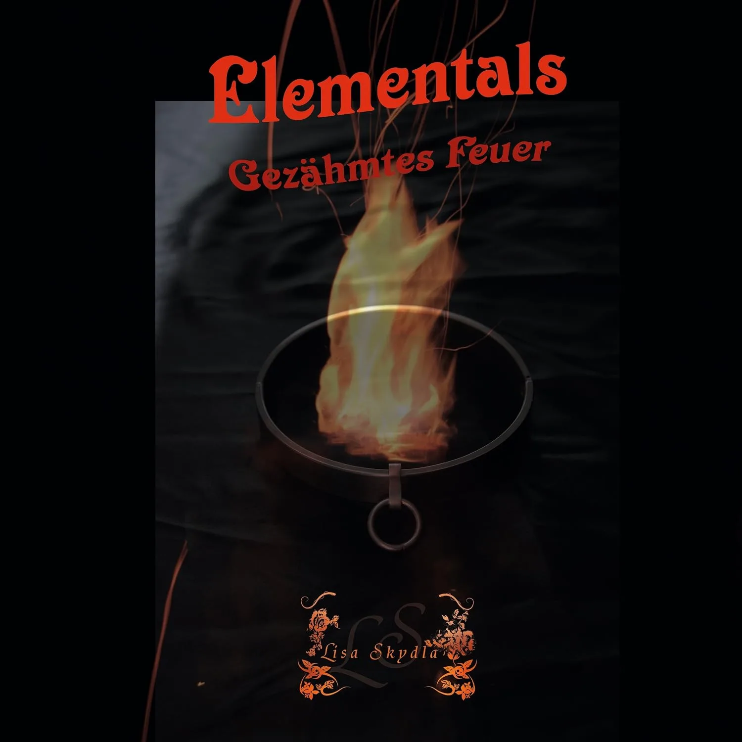 Portada de Gezähmtes Feuer