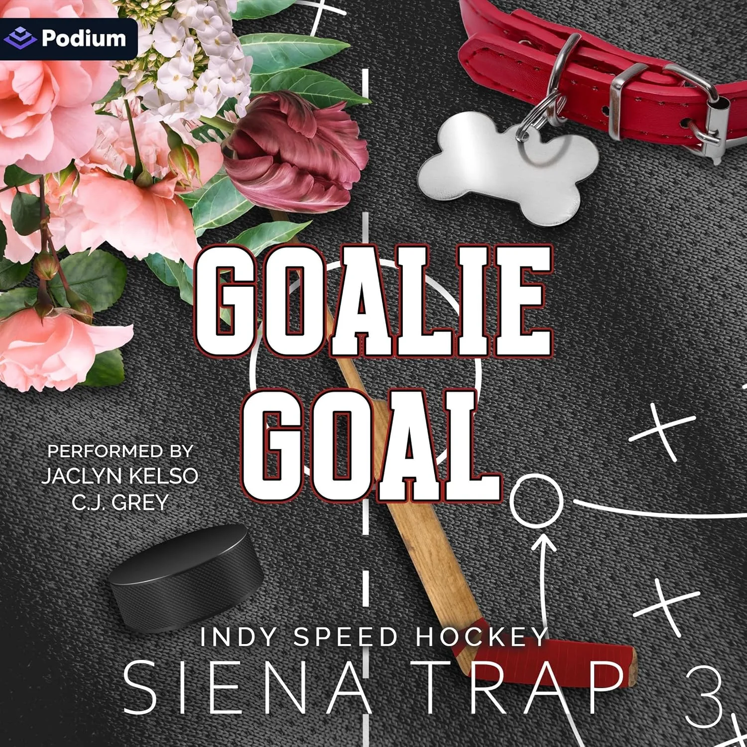 Portada de Goalie Goal