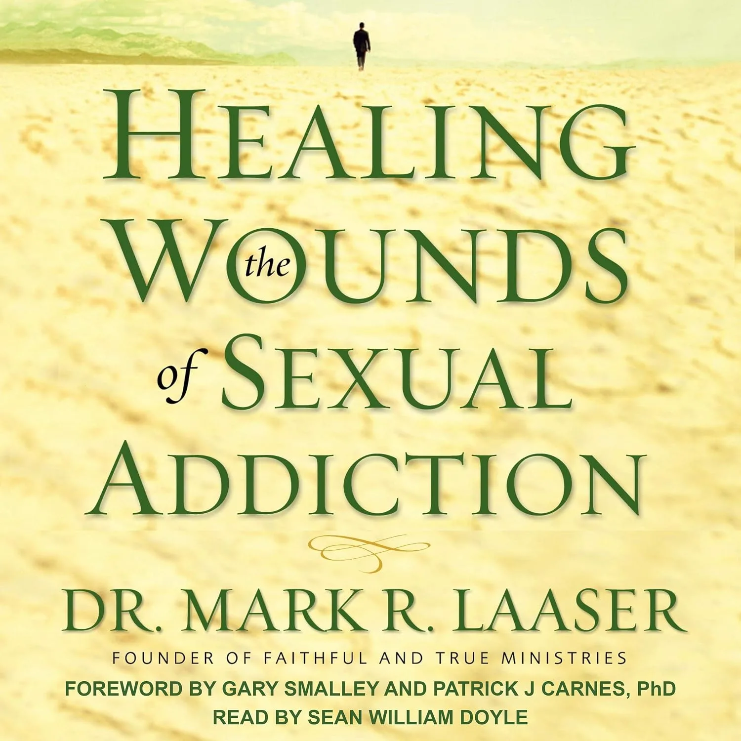 Portada de Healing the Wounds of Sexual Addiction