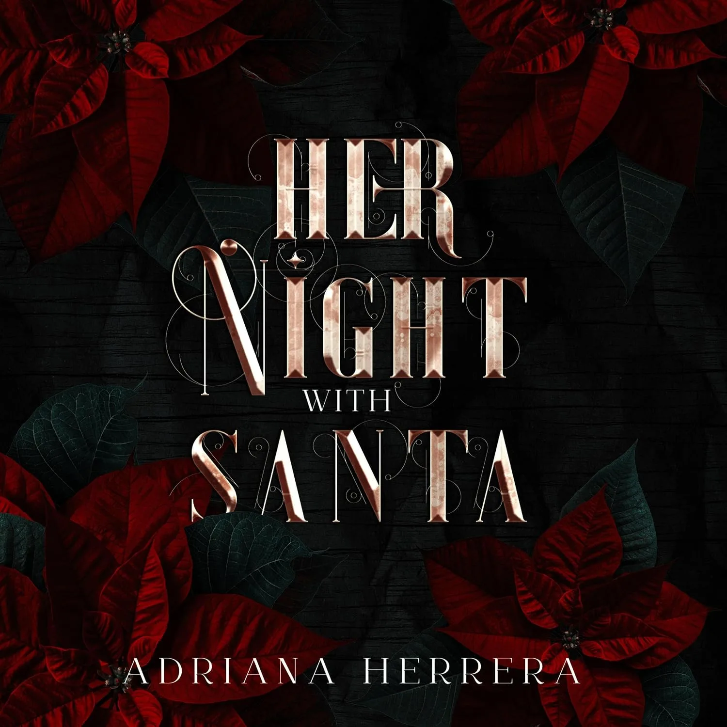 Portada de Her Night with Santa