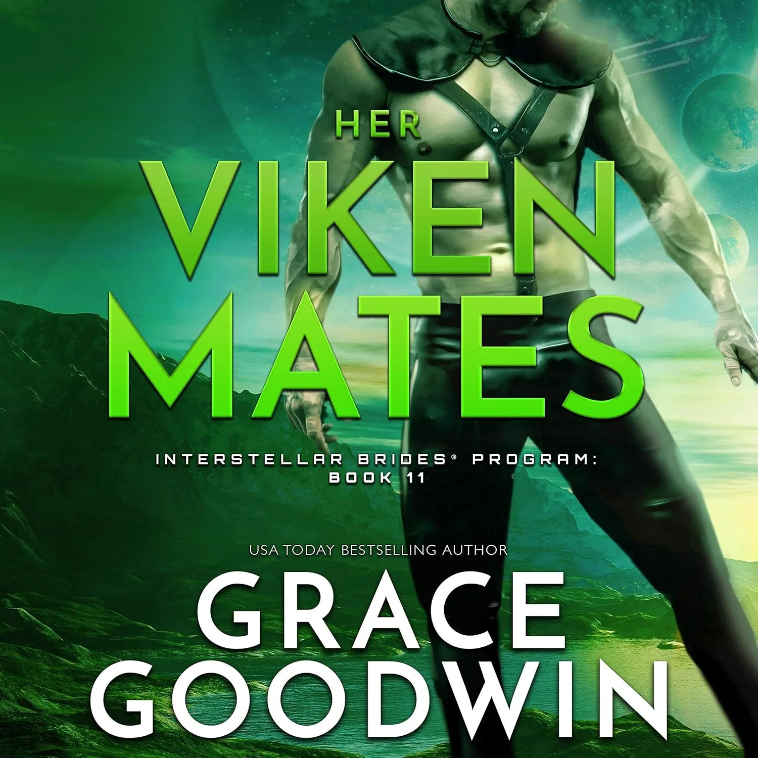 Portada de Her Viken Mates