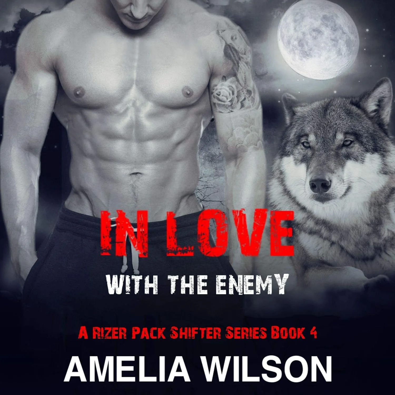 Portada de In Love with the Enemy