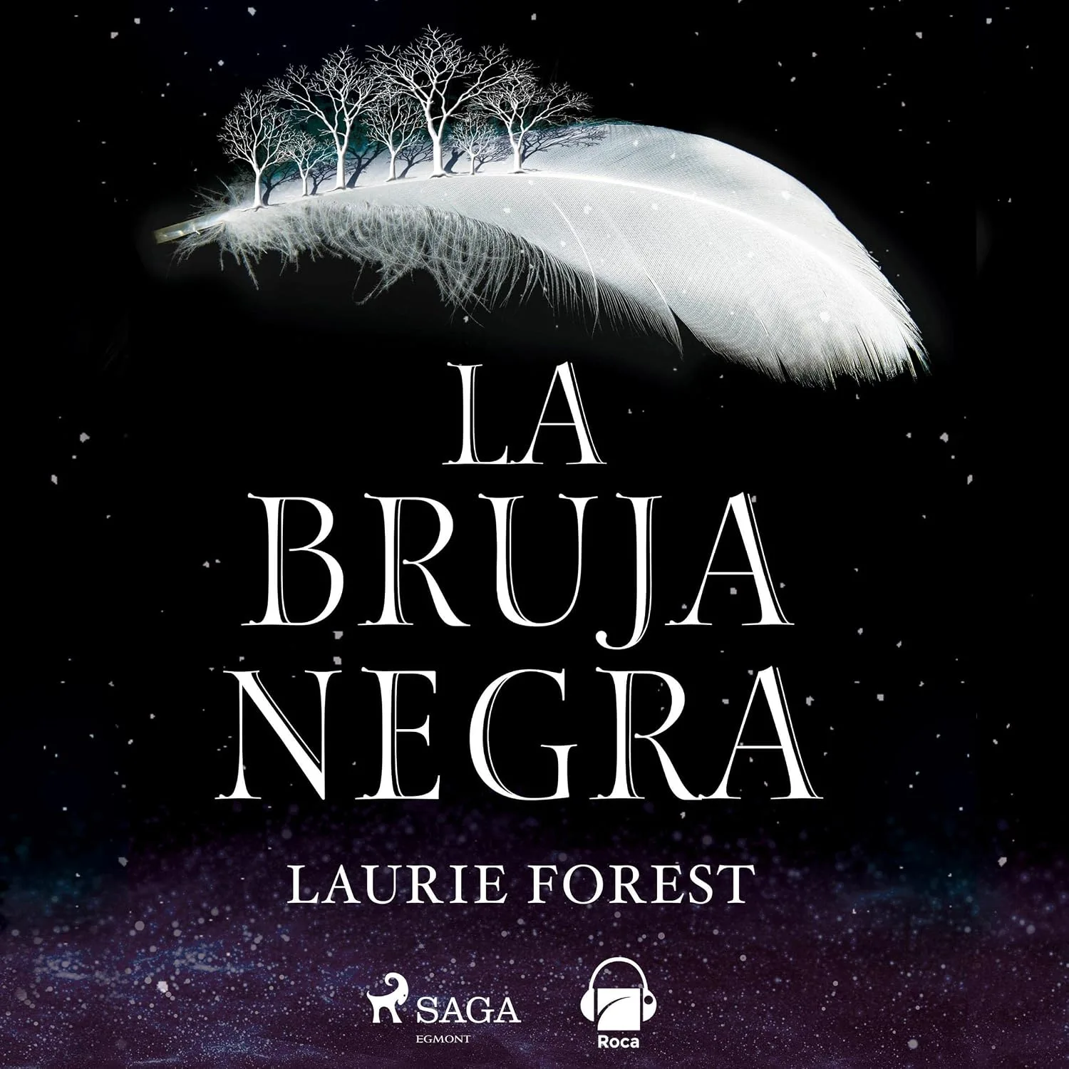 Portada de La bruja negra