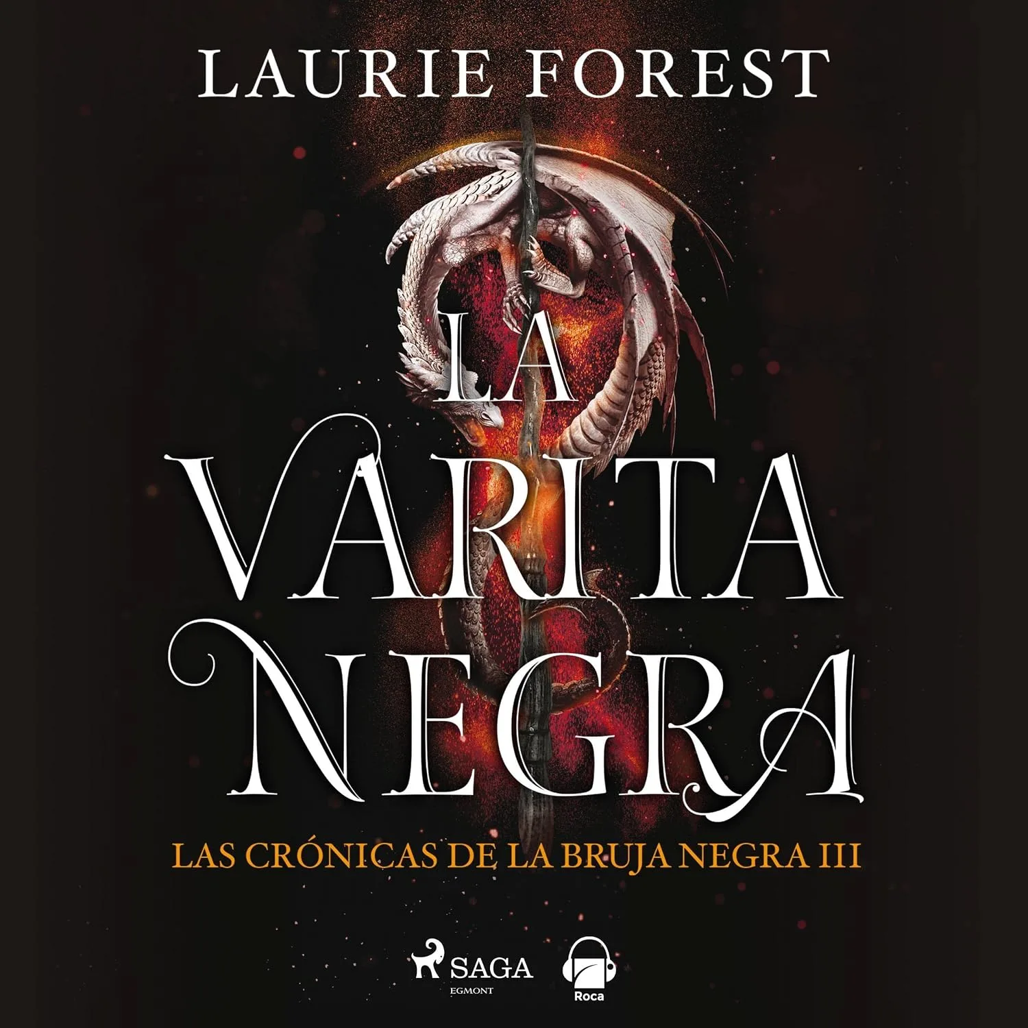 Portada de La varita negra