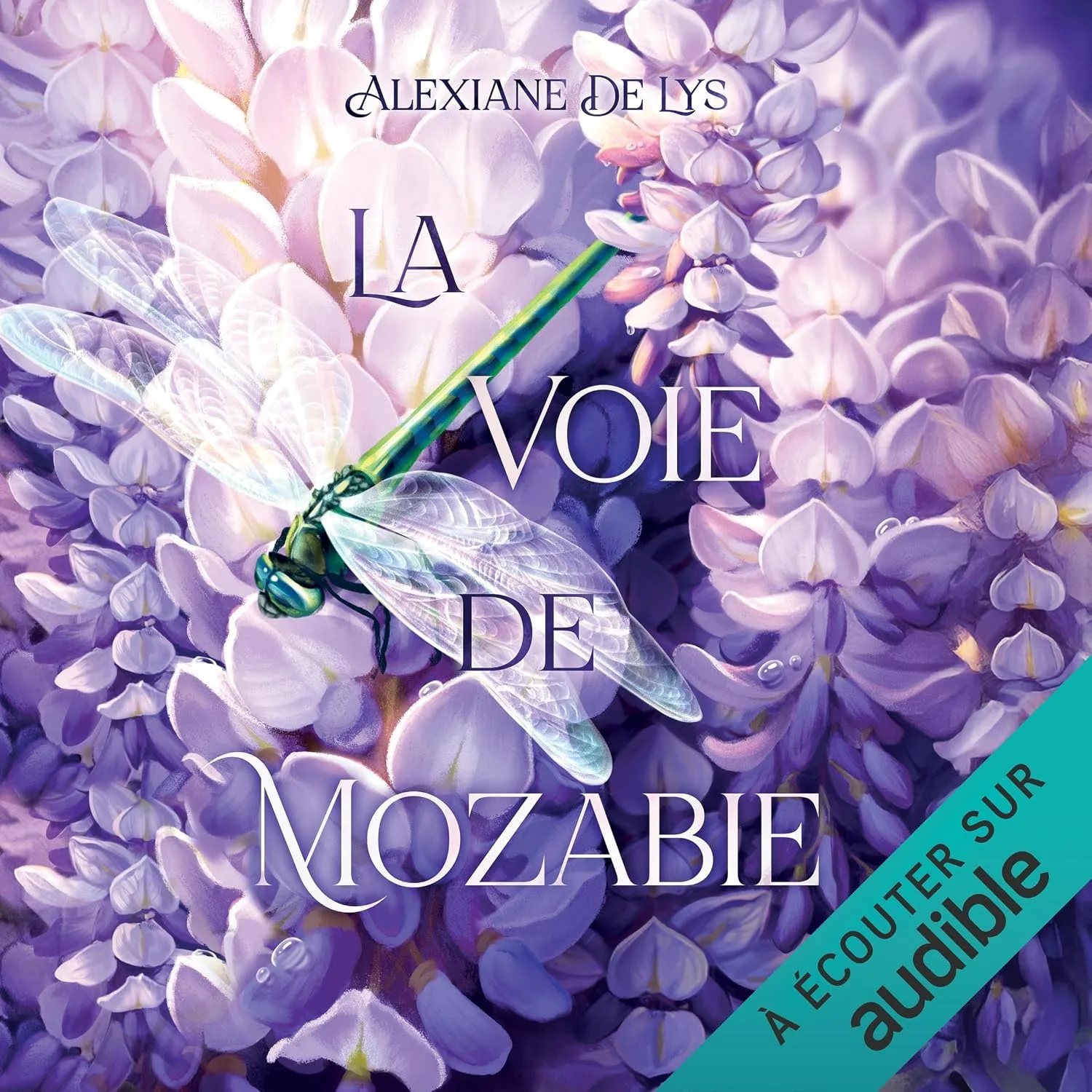 Portada de La voie de Mozabie