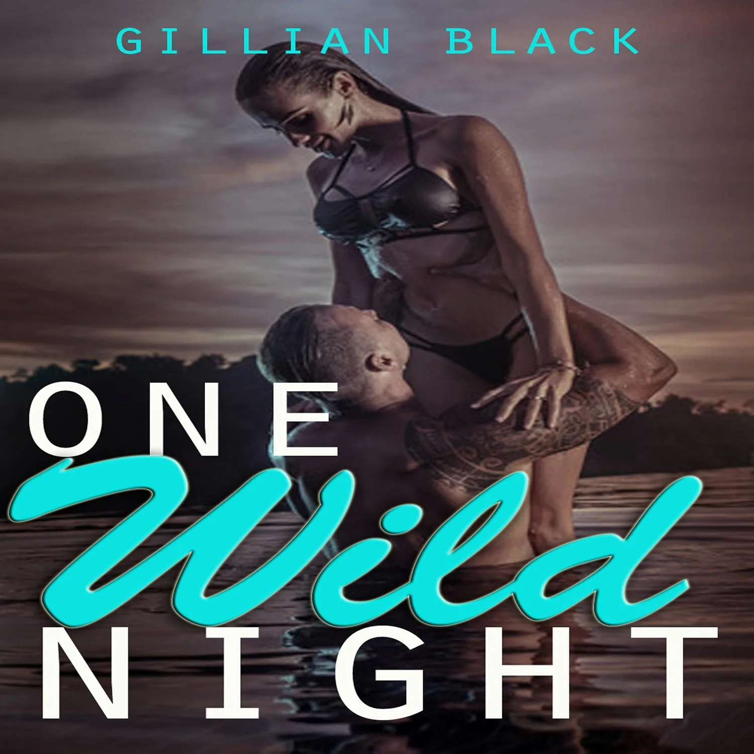 Portada de One Wild Night
