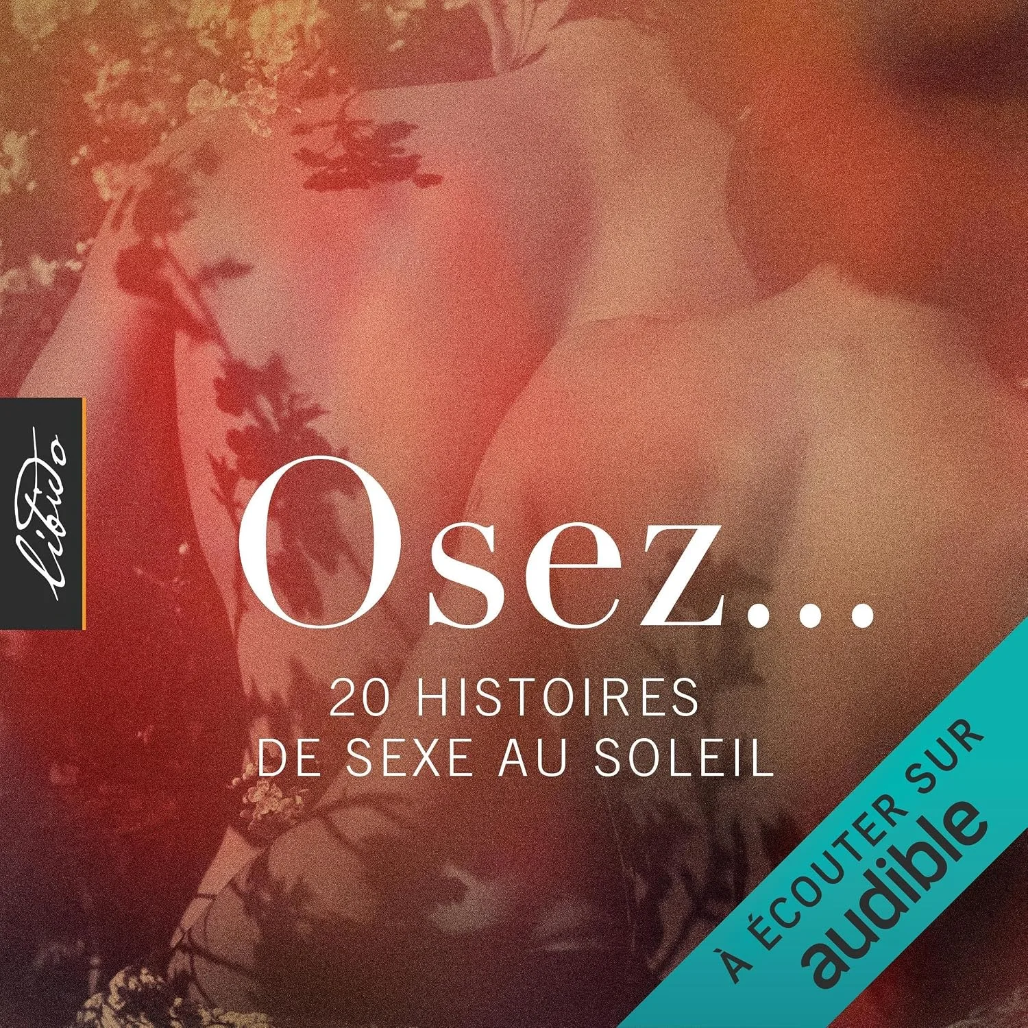 Portada de Osez... 20 histoires de sexe au soleil: Osez...