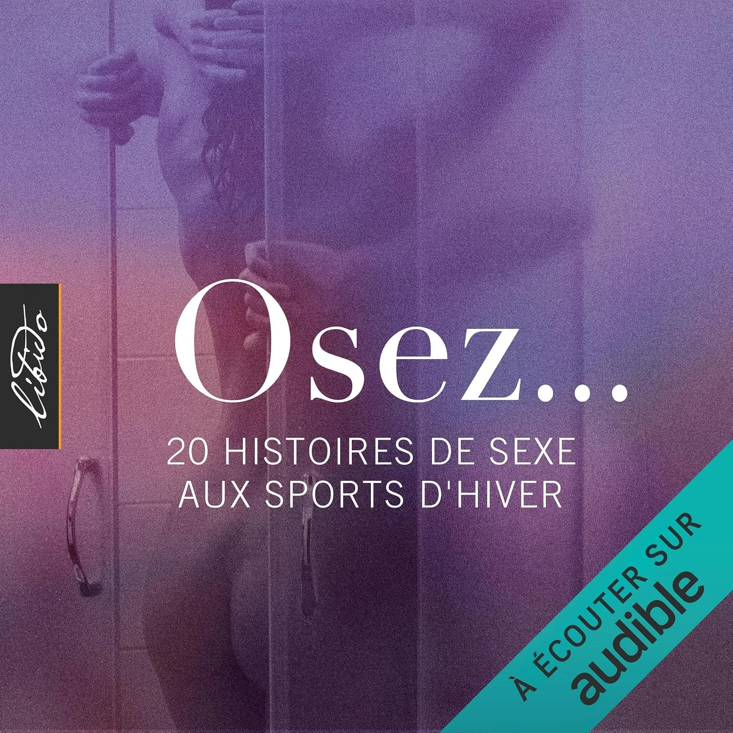 Portada de Osez... 20 histoires de sexe aux sports d'hiver: Osez...