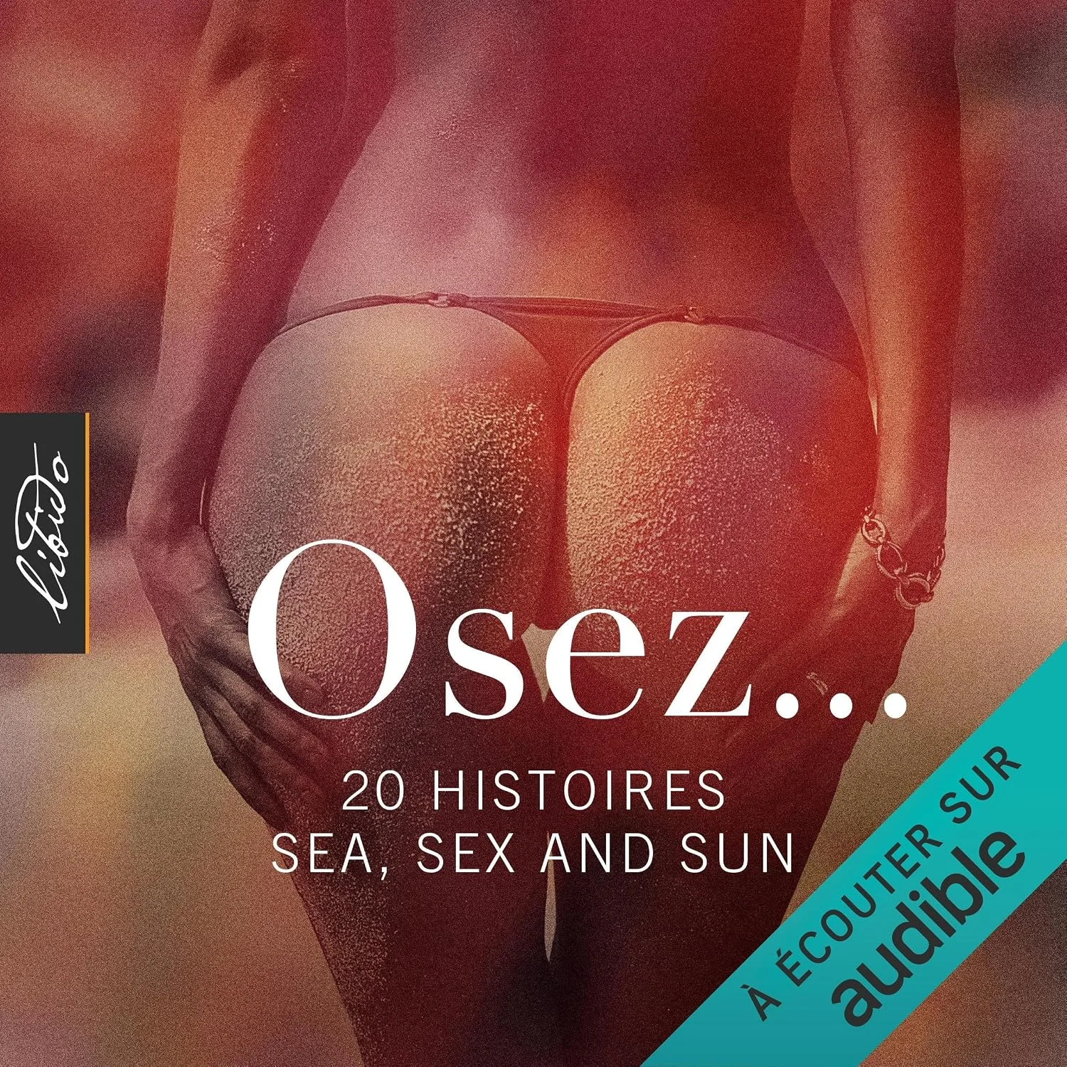 Portada de Osez... 20 histoires sea, sex and sun: Osez...