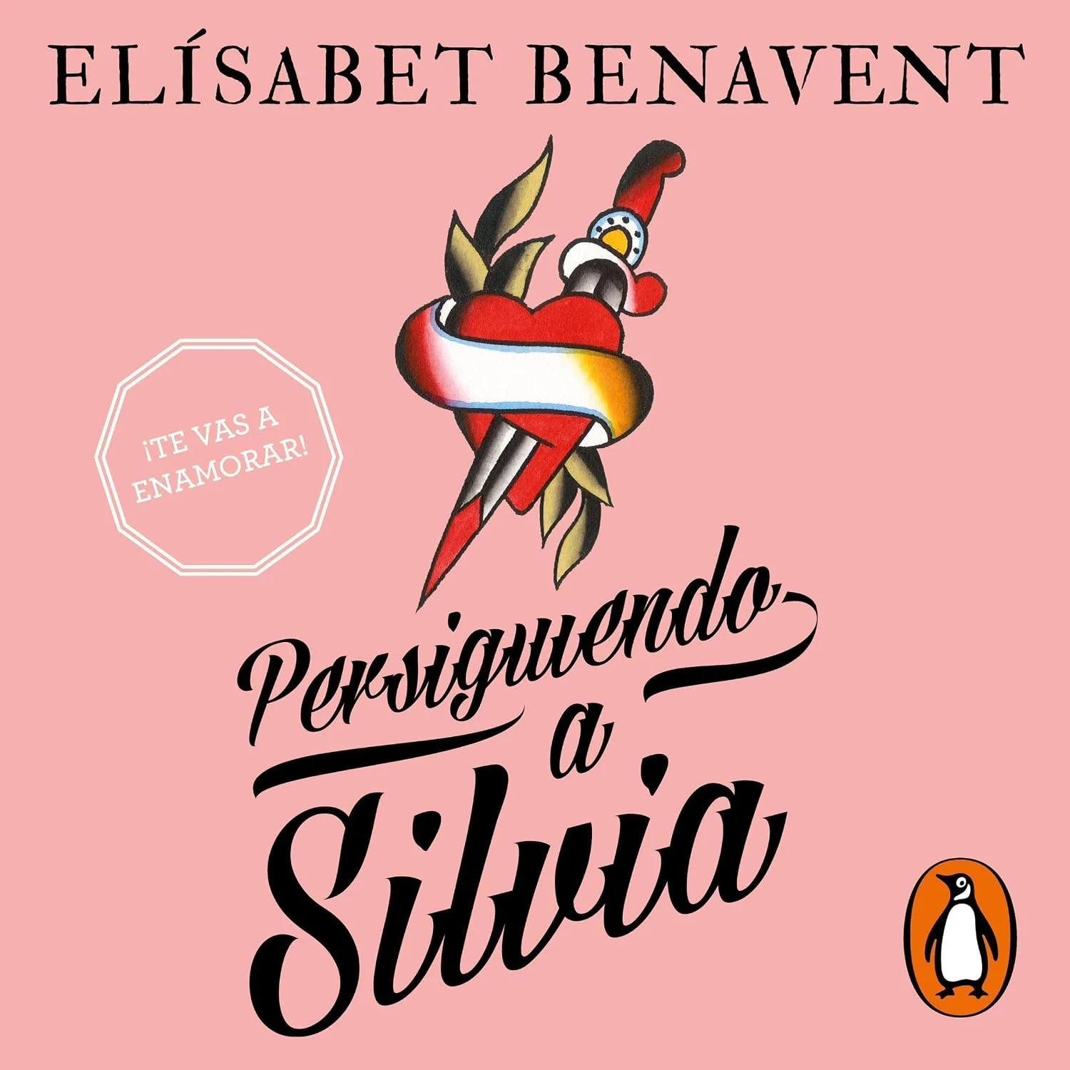 Portada de Persiguiendo a Silvia