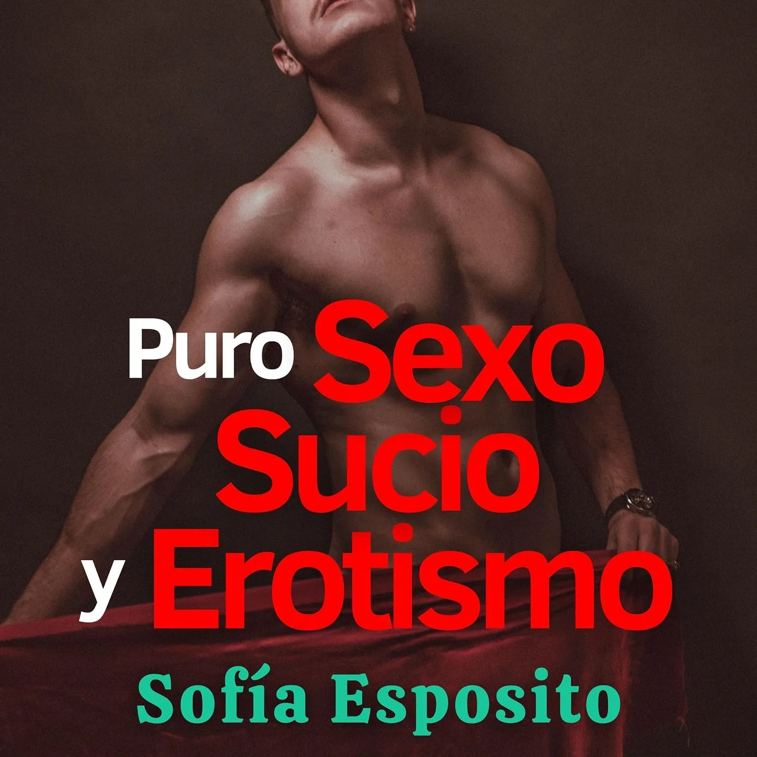 Portada de Puro Sexo Sucio y Erotismo con Romance: Relatos cortos eróticos para adultos, historias de sexo caliente y BDSM, cuentos de amor completos, regalo original ... ligera chick lit urbana