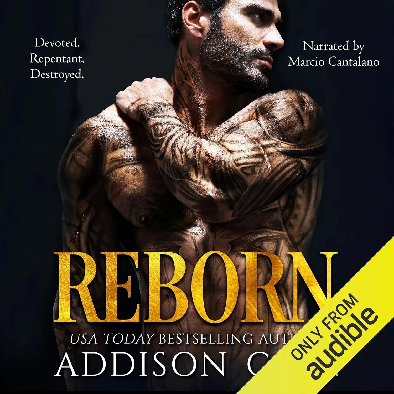 Portada de Reborn