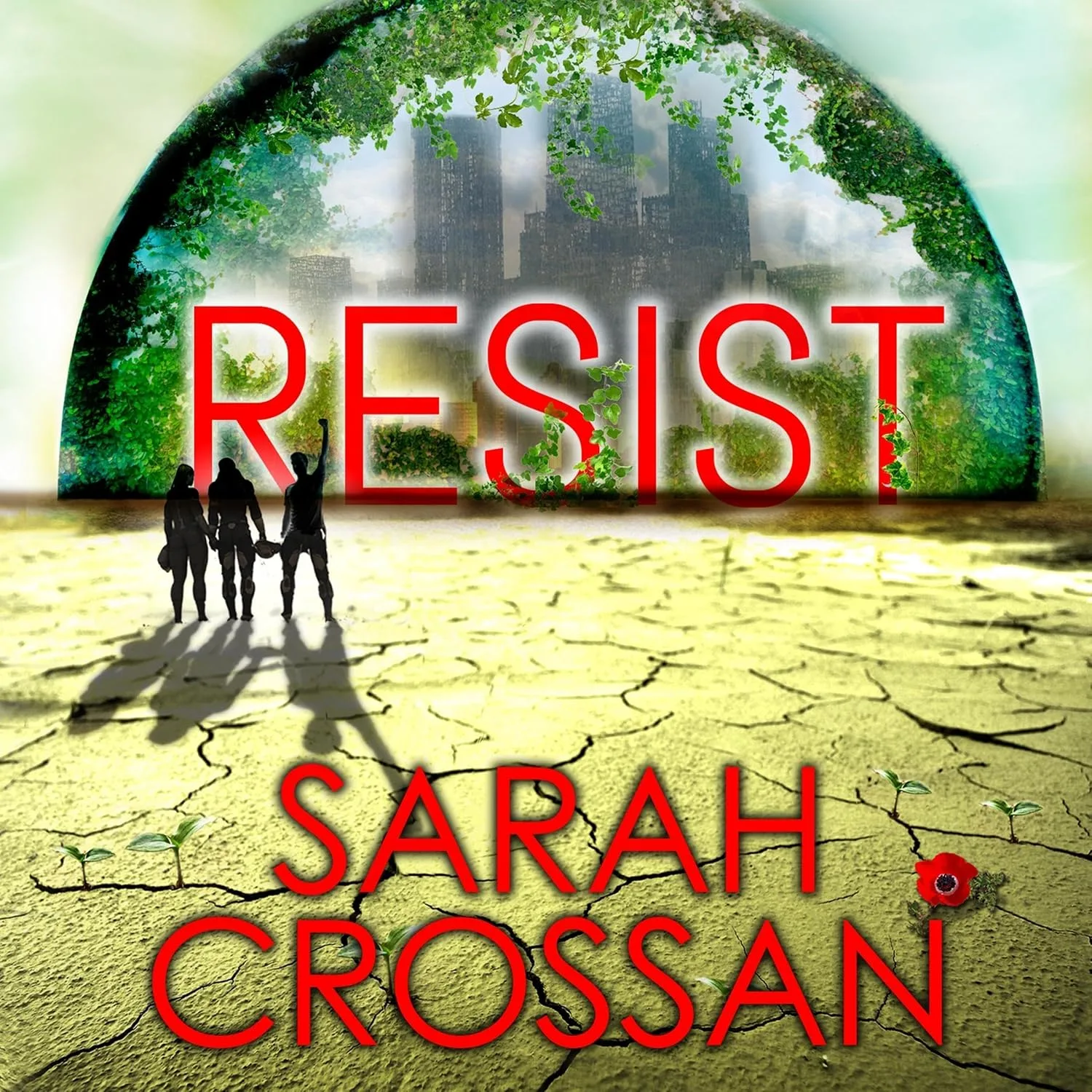 Portada de Resist