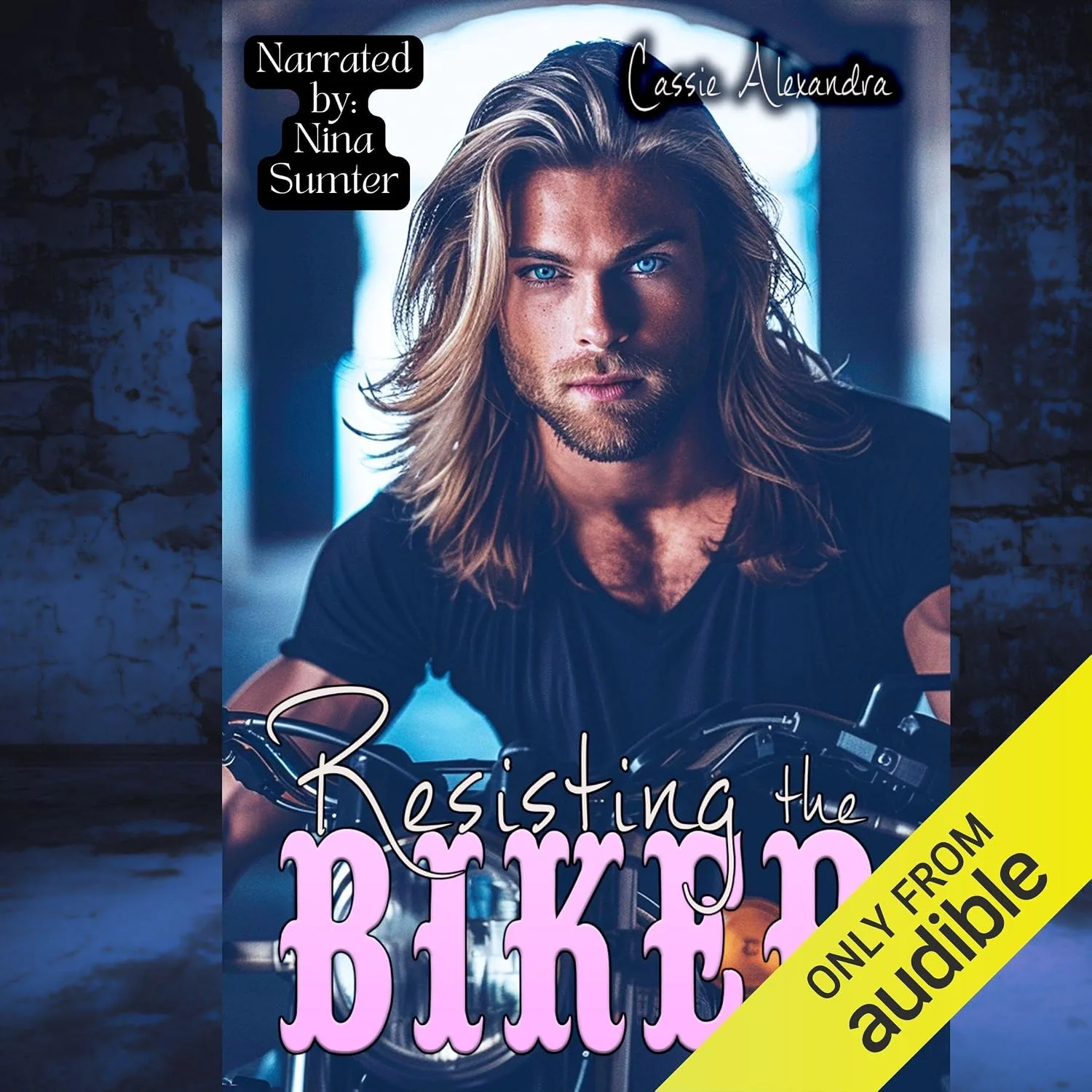 Portada de Resisting the Biker