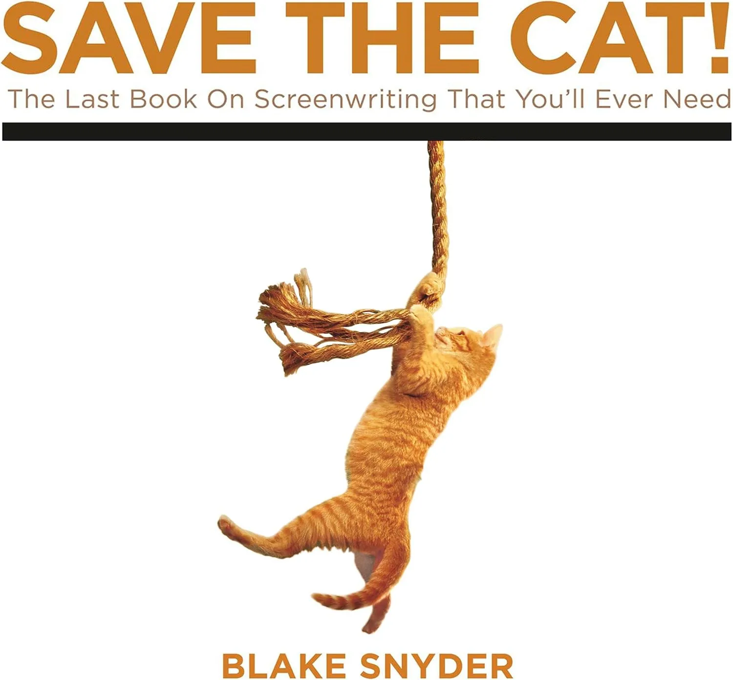 Portada de Save the Cat!: The Last Book on Screenwriting You'll Ever Need