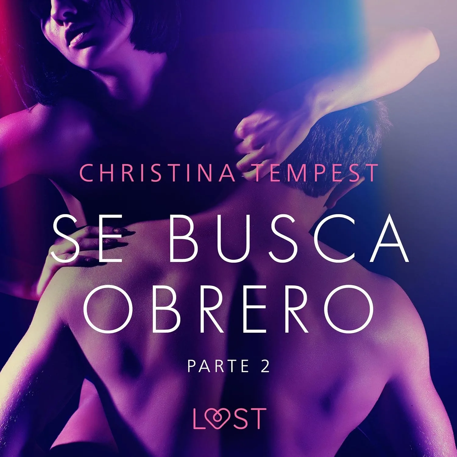Portada de Se busca obrero - parte 2