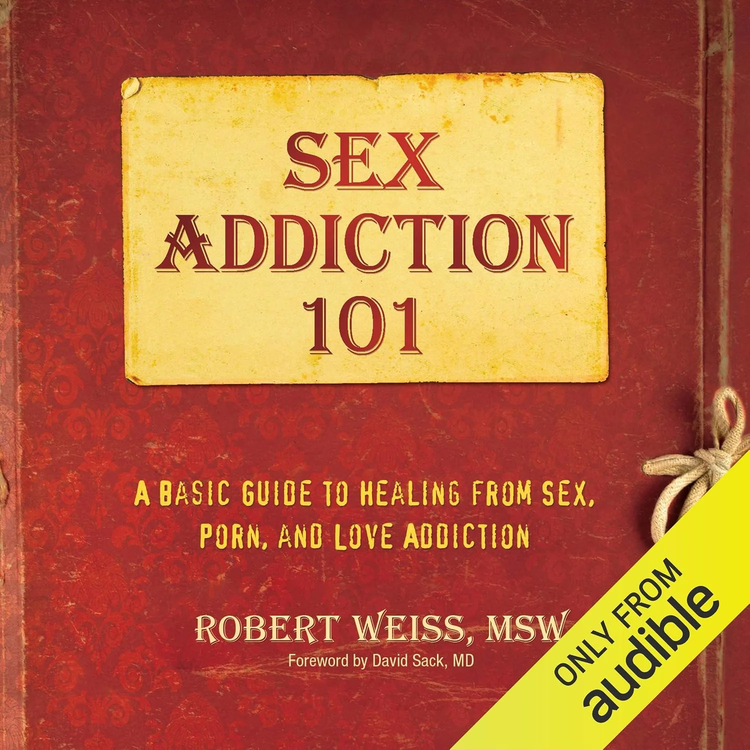 Portada de Sex Addiction 101: A Basic Guide to Healing from Sex, Porn, and Love Addiction