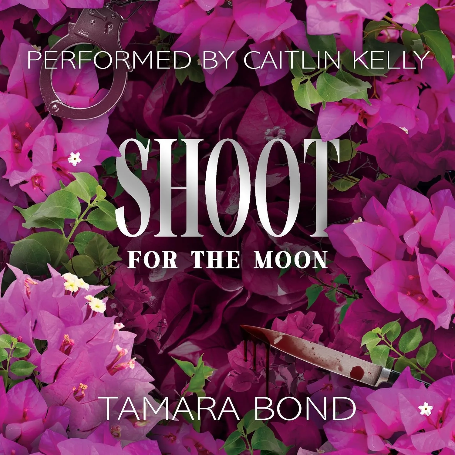 Portada de Shoot for the Moon