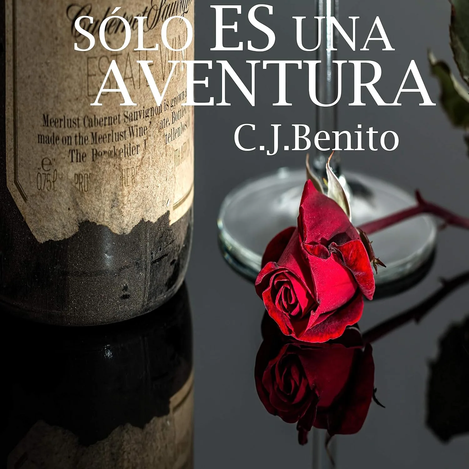 Portada de Sólo es una aventura