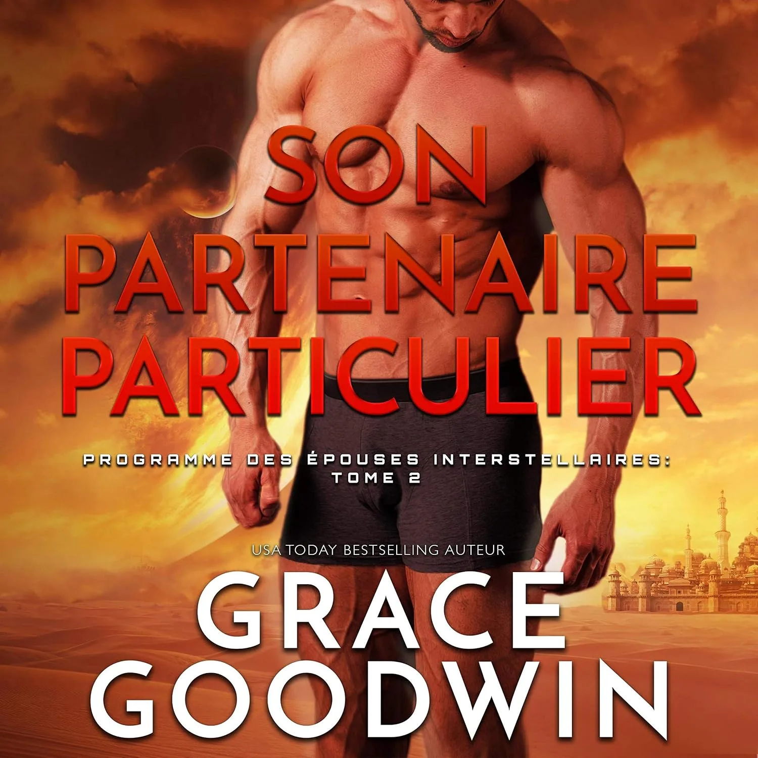Portada de Son Partenaire Particulier [Assigned a Mate]: Programme des Epouses Interstellaires, Tome 2 [Interstellar Brides Program, Book 2]