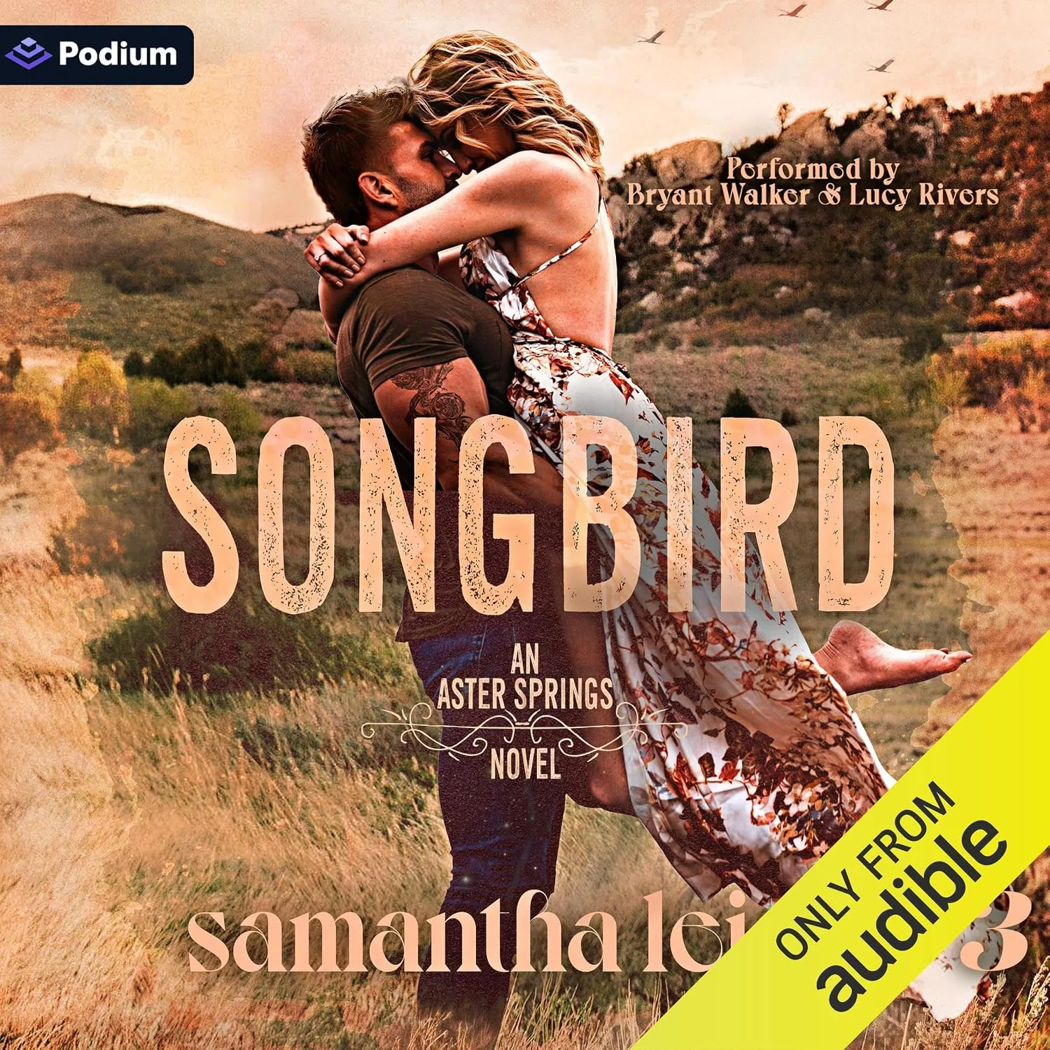 Portada de Songbird