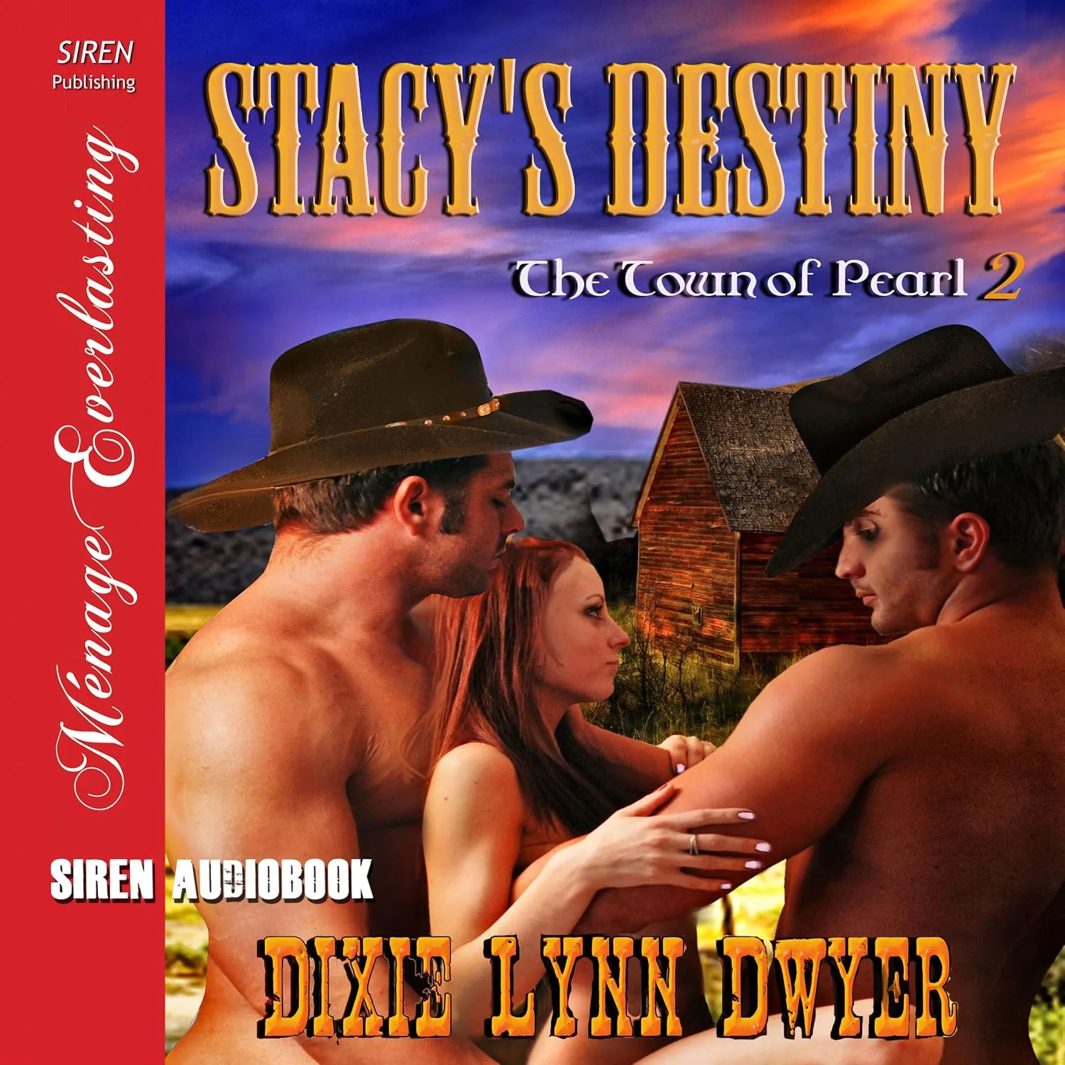 Portada de Stacy's Destiny