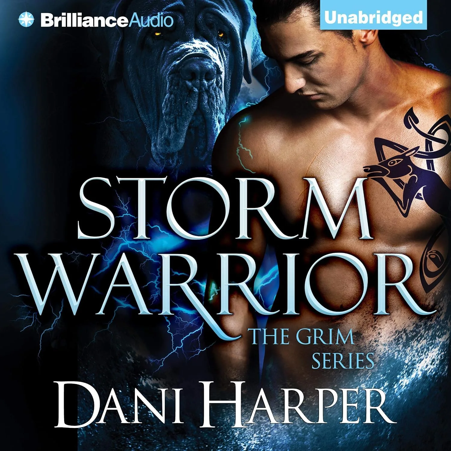 Portada de Storm Warrior
