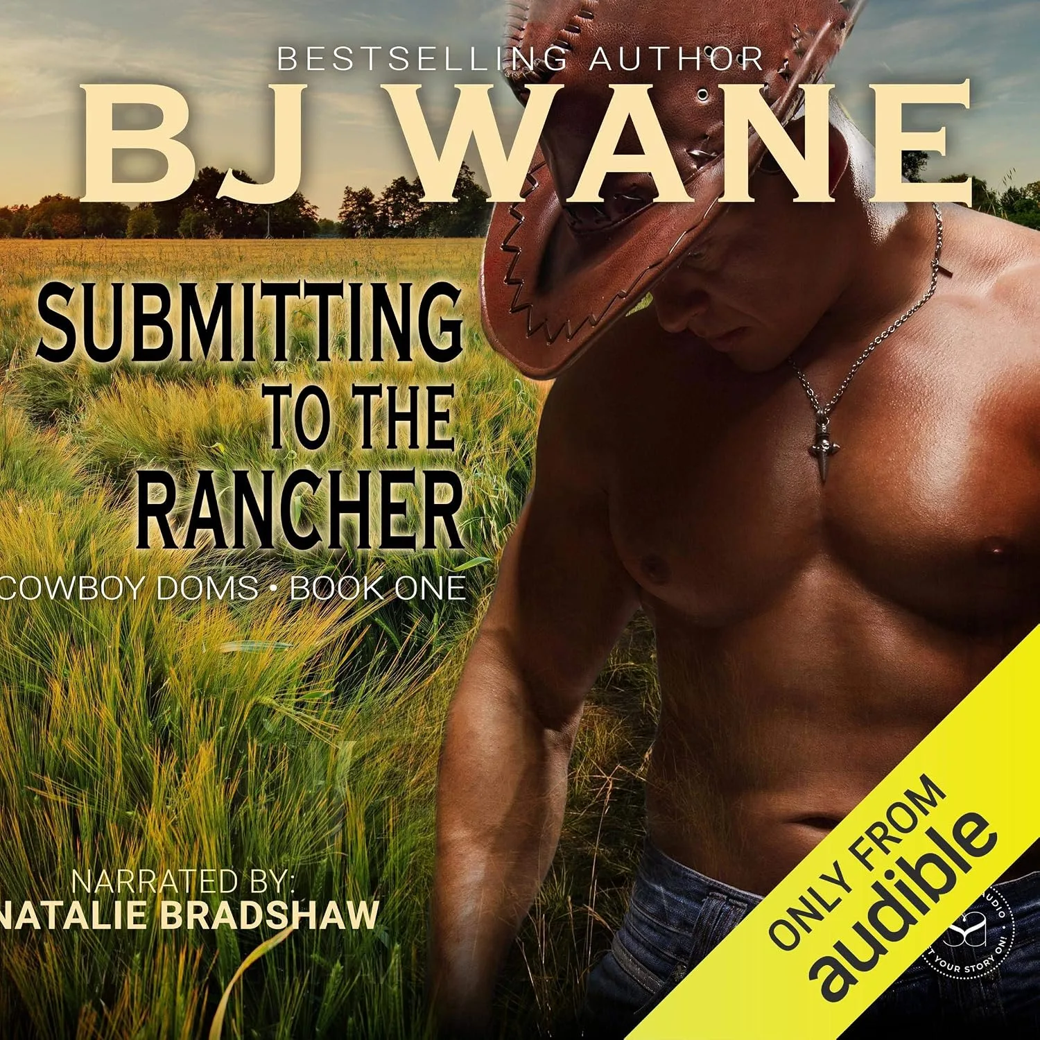 Portada de Submitting to the Rancher
